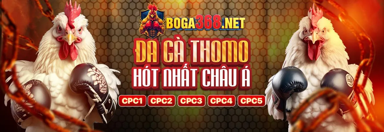 Đá gà trực tuyến VN23 link mới